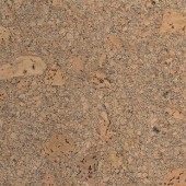 Cork Flooring APC Mars Polar